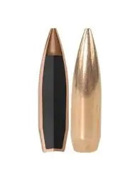 Nosler Competition 308" 168gr HPBT NOSLER