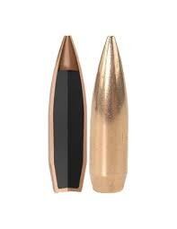 Carica immagine in Galleria Viewer, NOSLER COMPETITION 243&quot; 107 GR HPBT
