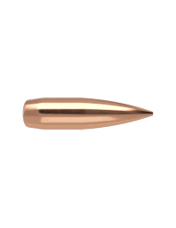 NOSLER COMPETITION 243" 107 GR HPBT